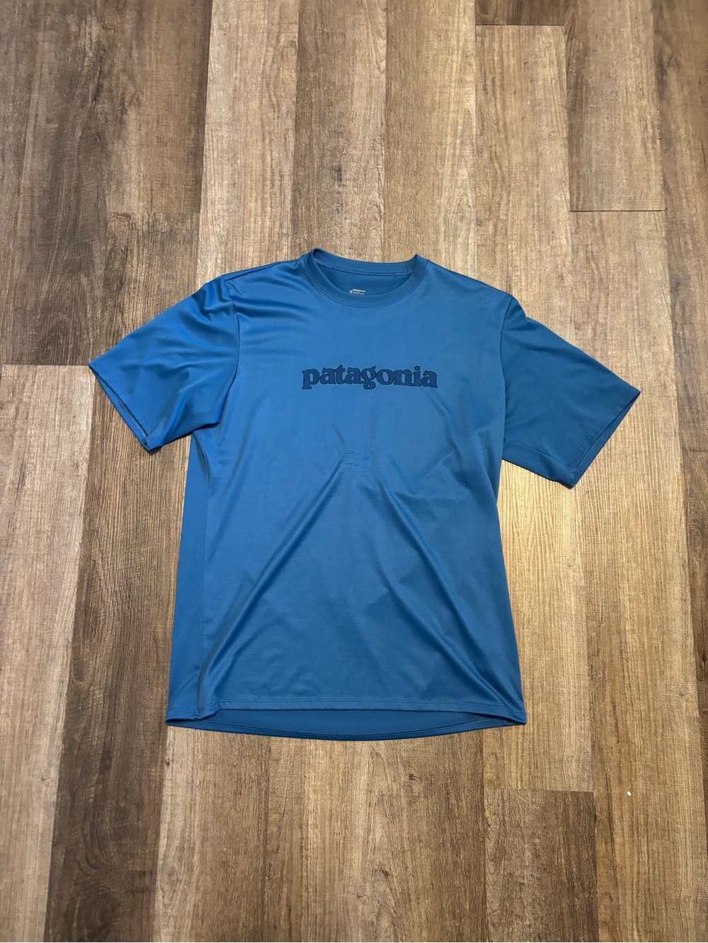 Patagonia Blue Short-Sleeve Logo Tee